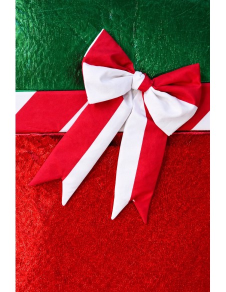 Travestimento Pallina di Natale con Fiocco Nuovo